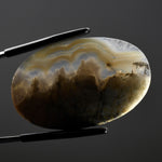 White Moss Agate Oval Cabochon