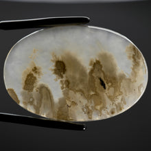 Load image into Gallery viewer, White Moss Agate Cabochon
