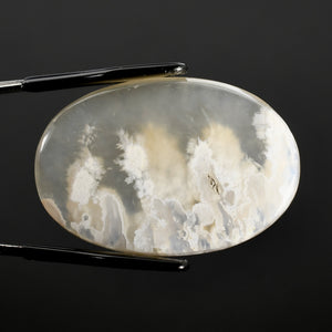 White Moss Agate Cabochon