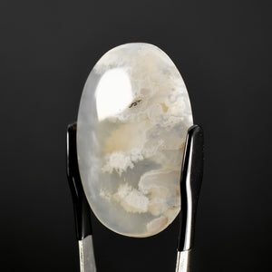 White Moss Agate Cabochon