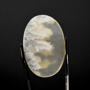 White Moss Agate Cabochon