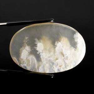 White Moss Agate Cabochon