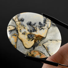 Load image into Gallery viewer, Maligano Jasper Cabochon 
