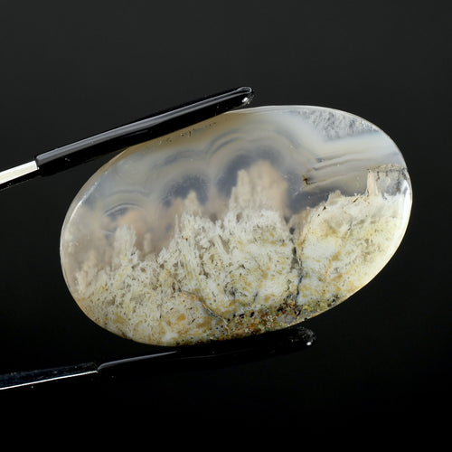 White Moss Agate Oval Cabochon