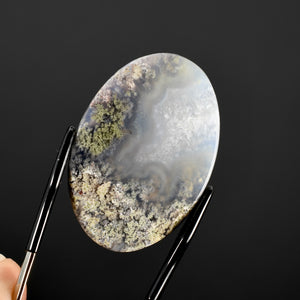 Moss Agate Cabochon