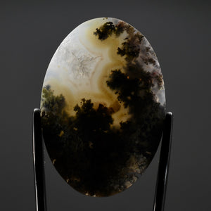 Moss Agate Cabochon