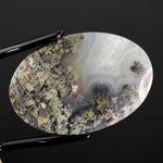 Moss Agate Cabochon