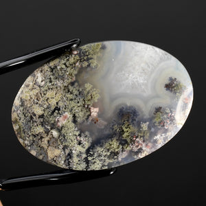 Moss Agate Cabochon