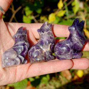 Chevron Amethyst Crystal Wolf