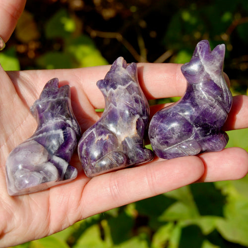 Chevron Amethyst Crystal Wolf