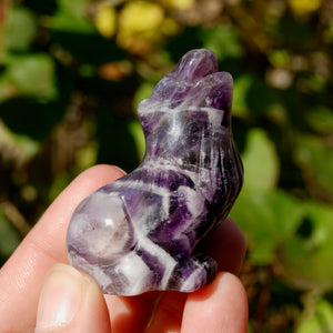 Chevron Amethyst Crystal Wolf