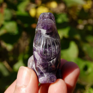 Chevron Amethyst Crystal Wolf