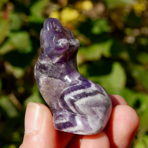 Chevron Amethyst Crystal Wolf