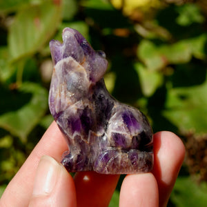 Chevron Amethyst Crystal Wolf