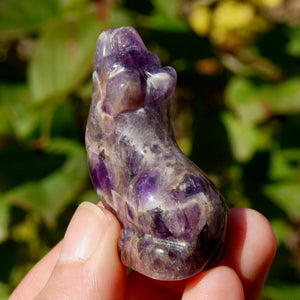 Chevron Amethyst Crystal Wolf