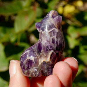 Chevron Amethyst Crystal Wolf