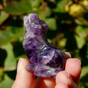 Chevron Amethyst Crystal Wolf