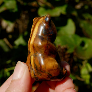 Tiger's Eye Crystal Teddy Bear