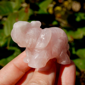 Rose Quartz Crystal Elephant