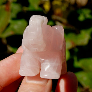 Rose Quartz Crystal Elephant