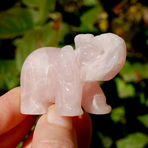 Rose Quartz Crystal Elephant