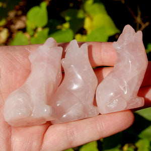 Rose Quartz Crystal Wolf