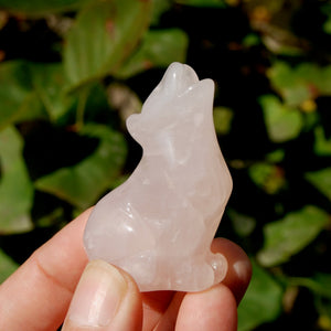 Rose Quartz Crystal Wolf