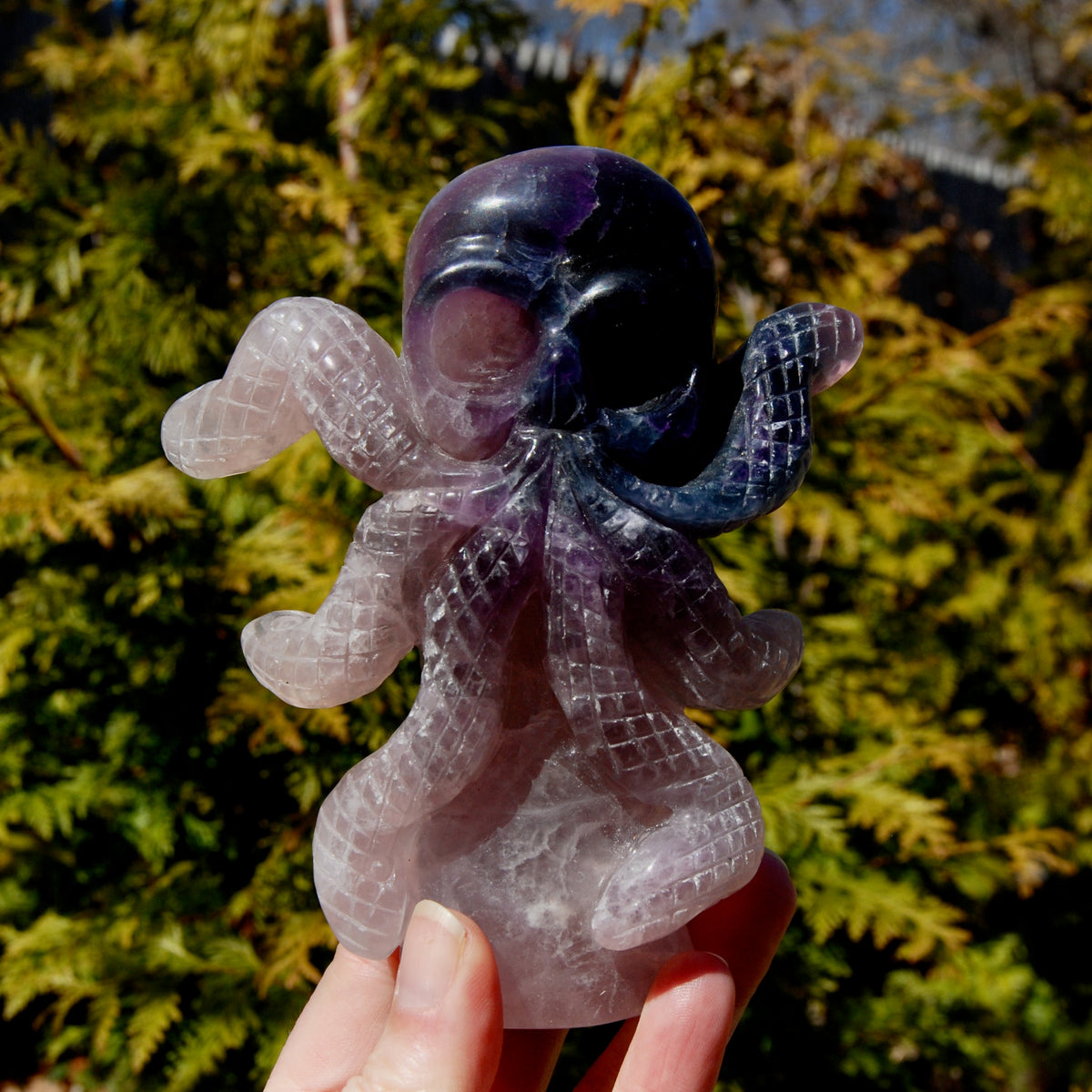 Purple Blue Fluorite Crystal Octopus