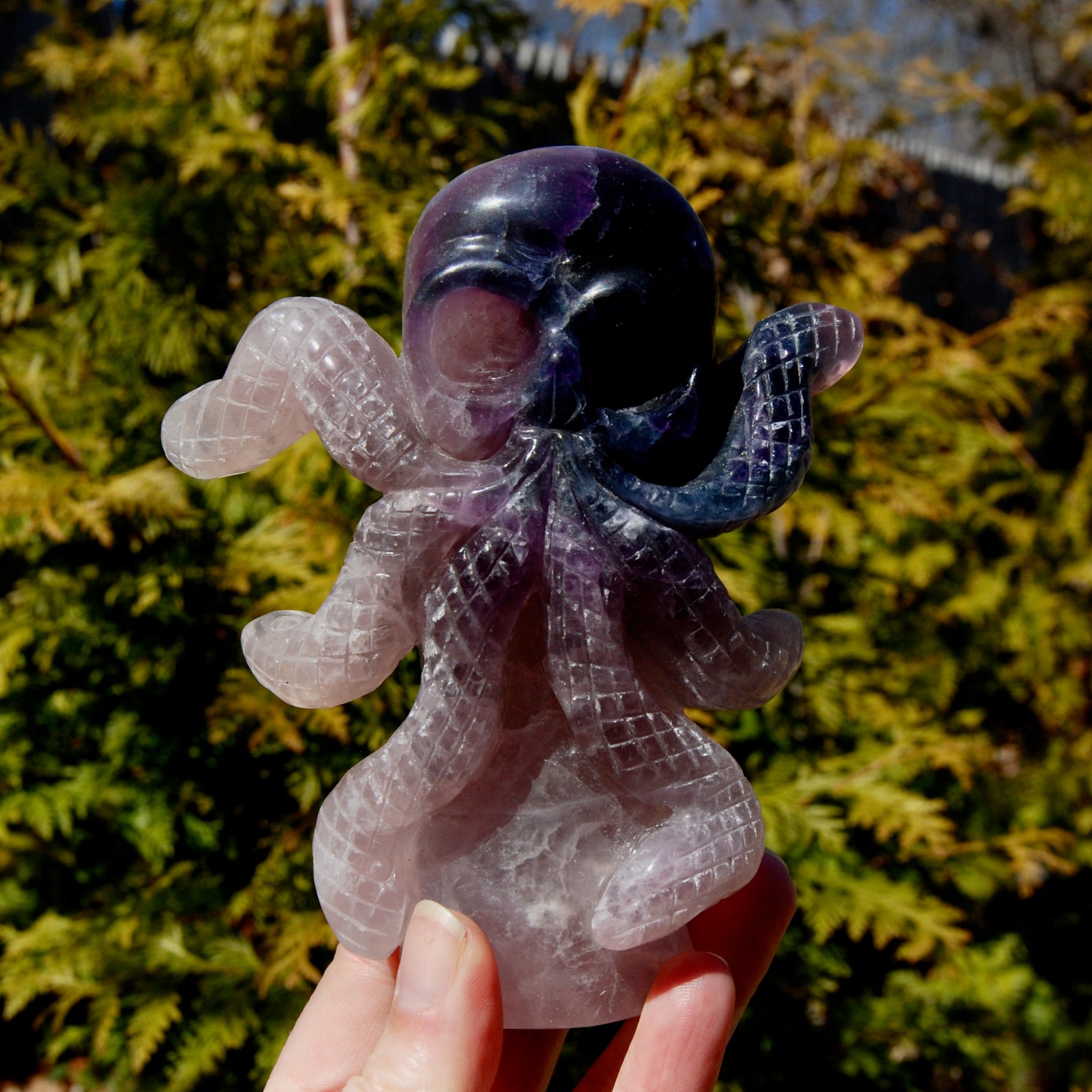 Purple Blue Fluorite Crystal Octopus