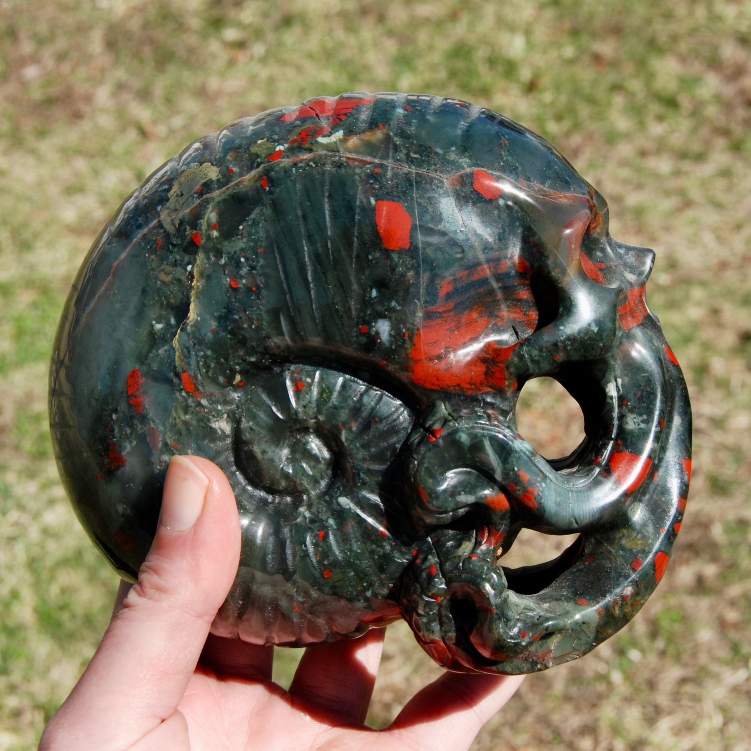 African Bloodstone Crystal Nautilus Octopus Skull