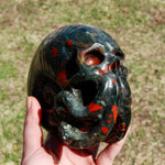African Bloodstone Crystal Nautilus Octopus Skull