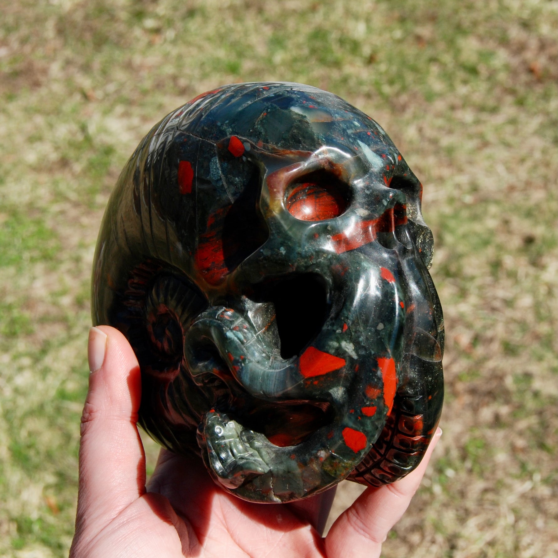 African Bloodstone Crystal Nautilus Octopus Skull