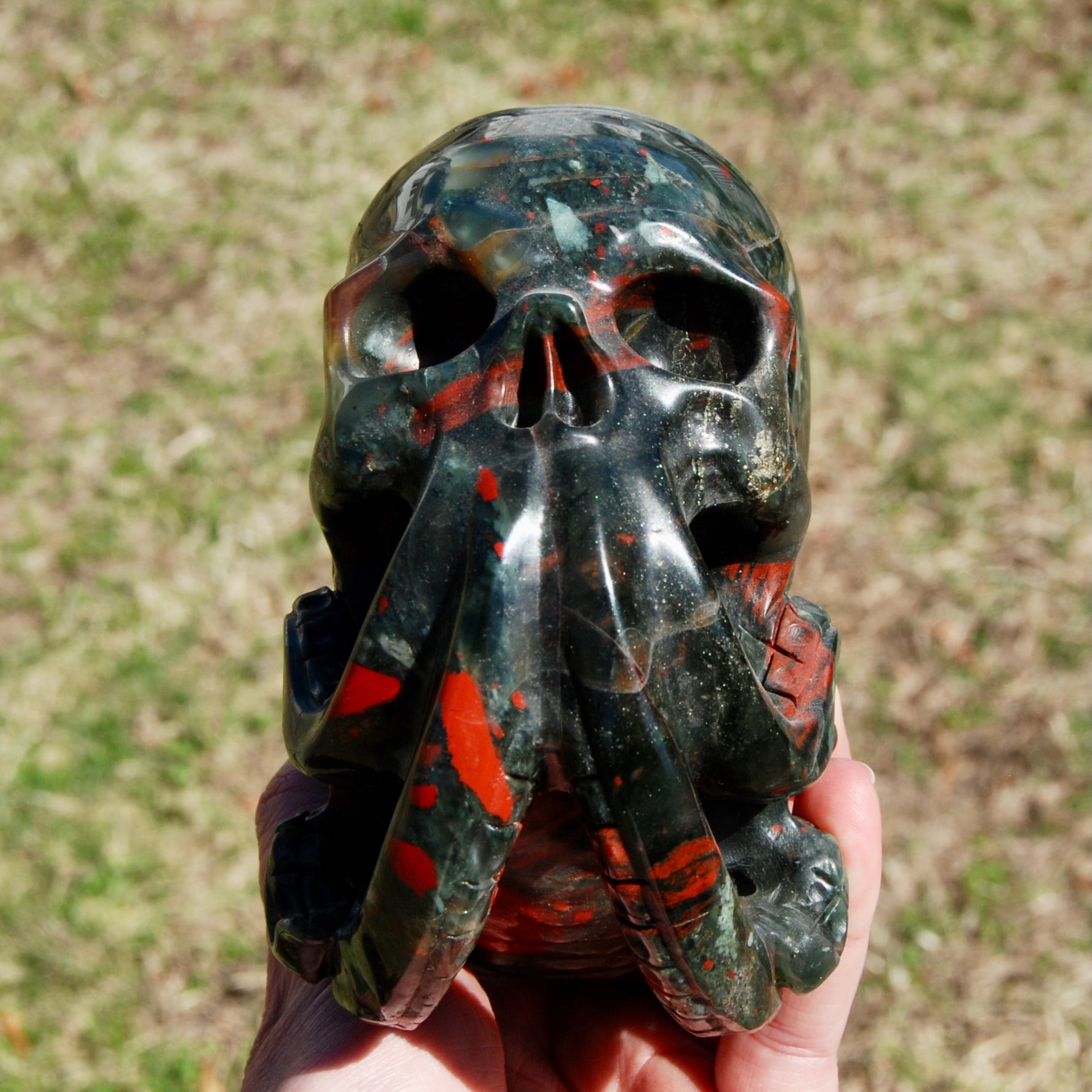 African Bloodstone Crystal Nautilus Octopus Skull