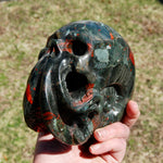 African Bloodstone Crystal Nautilus Octopus Skull