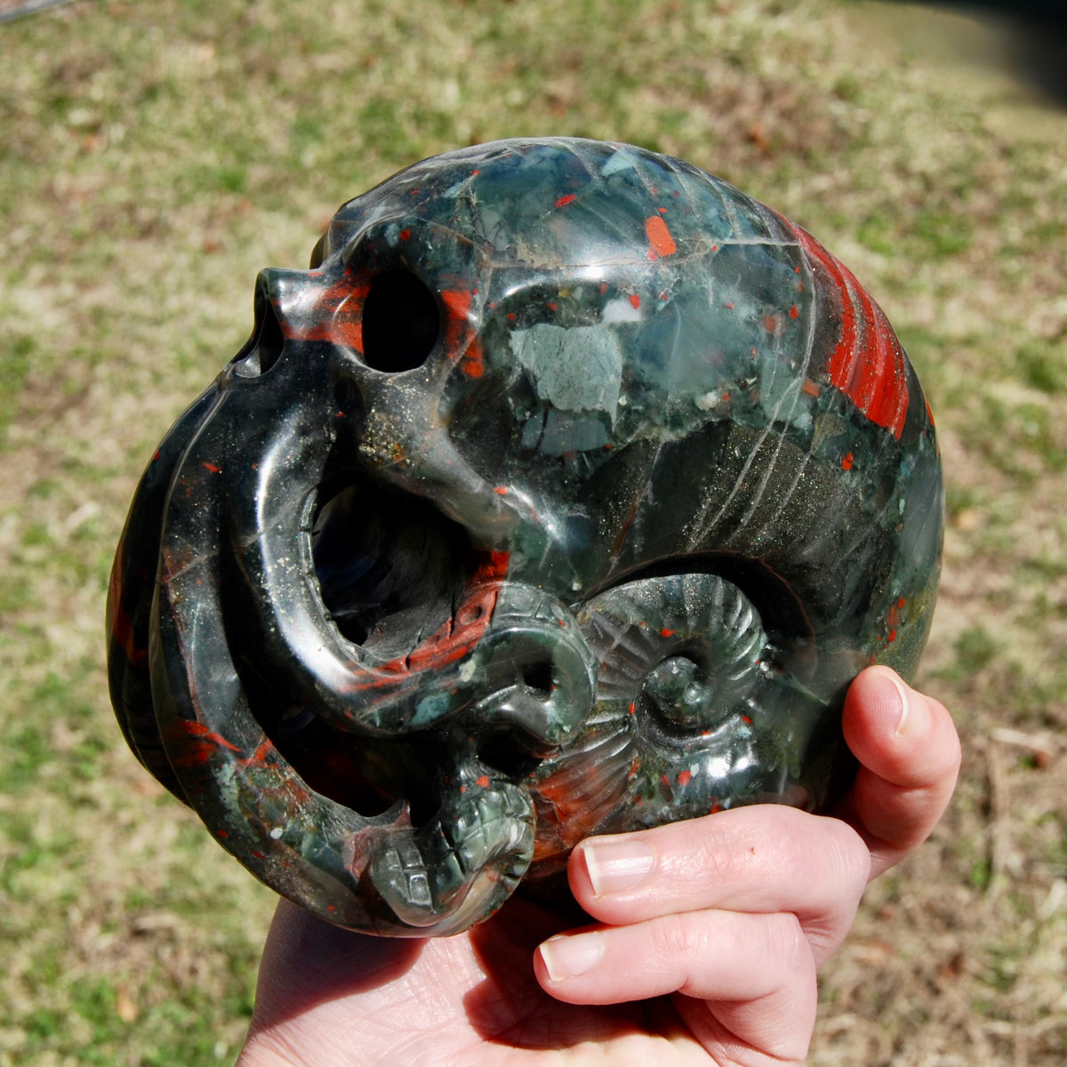 African Bloodstone Crystal Nautilus Octopus Skull