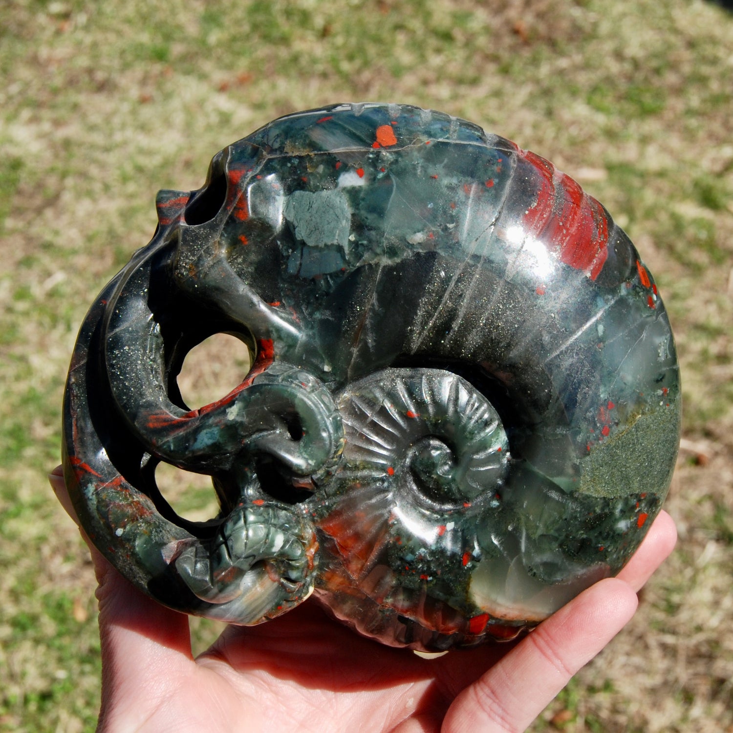 African Bloodstone Crystal Nautilus Octopus Skull