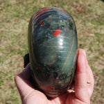 African Bloodstone Crystal Nautilus Octopus Skull