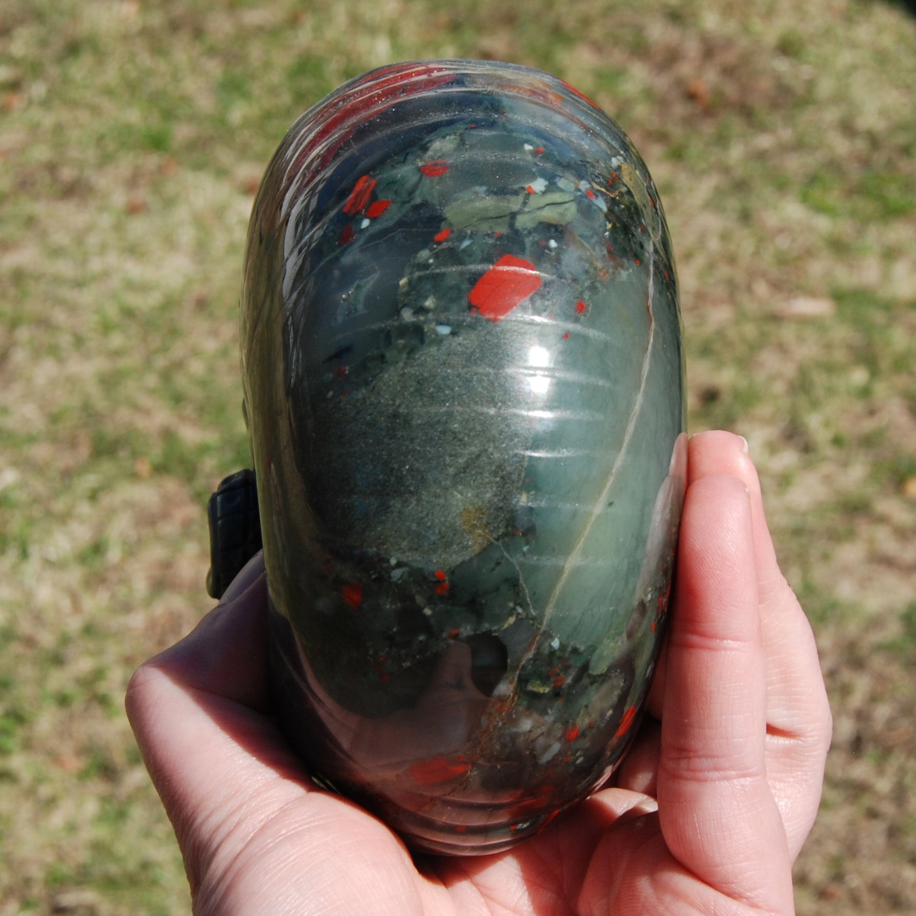 African Bloodstone Crystal Nautilus Octopus Skull