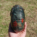 African Bloodstone Crystal Nautilus Octopus Skull