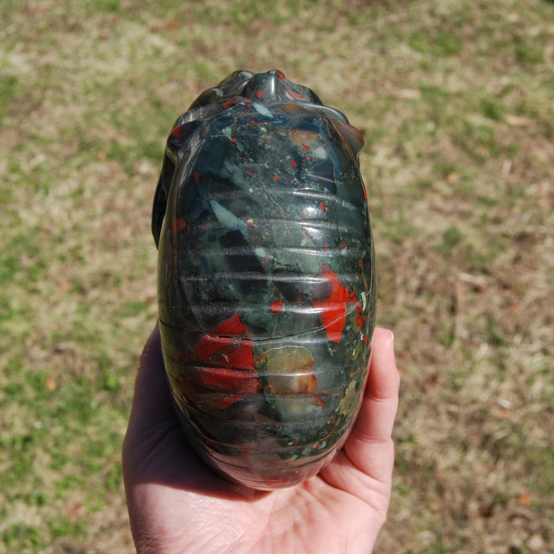 African Bloodstone Crystal Nautilus Octopus Skull
