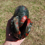 African Bloodstone Crystal Nautilus Octopus Skull