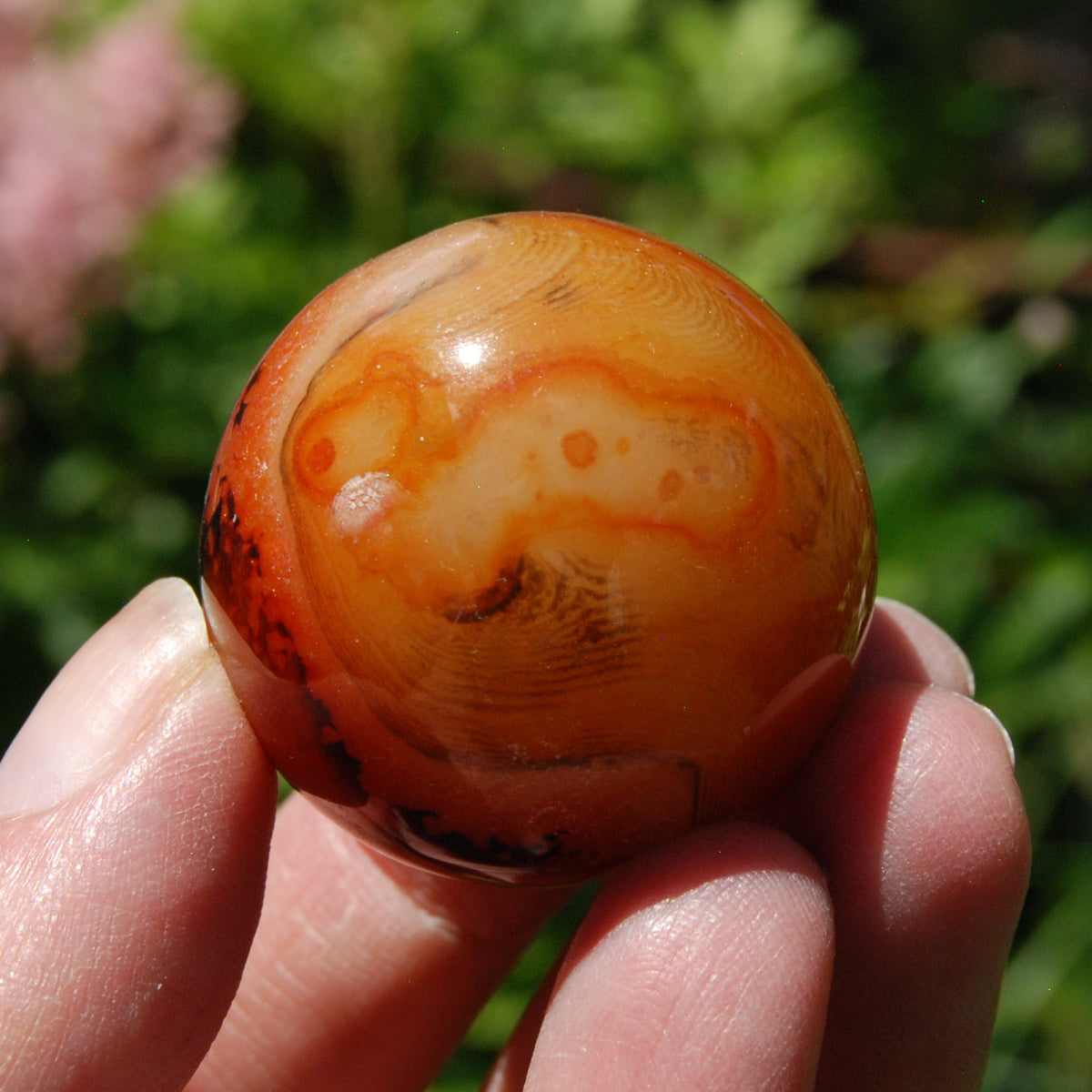 Banded Agate Sardonyx Crystal Sphere for Sale - Stone of Strength & Protection