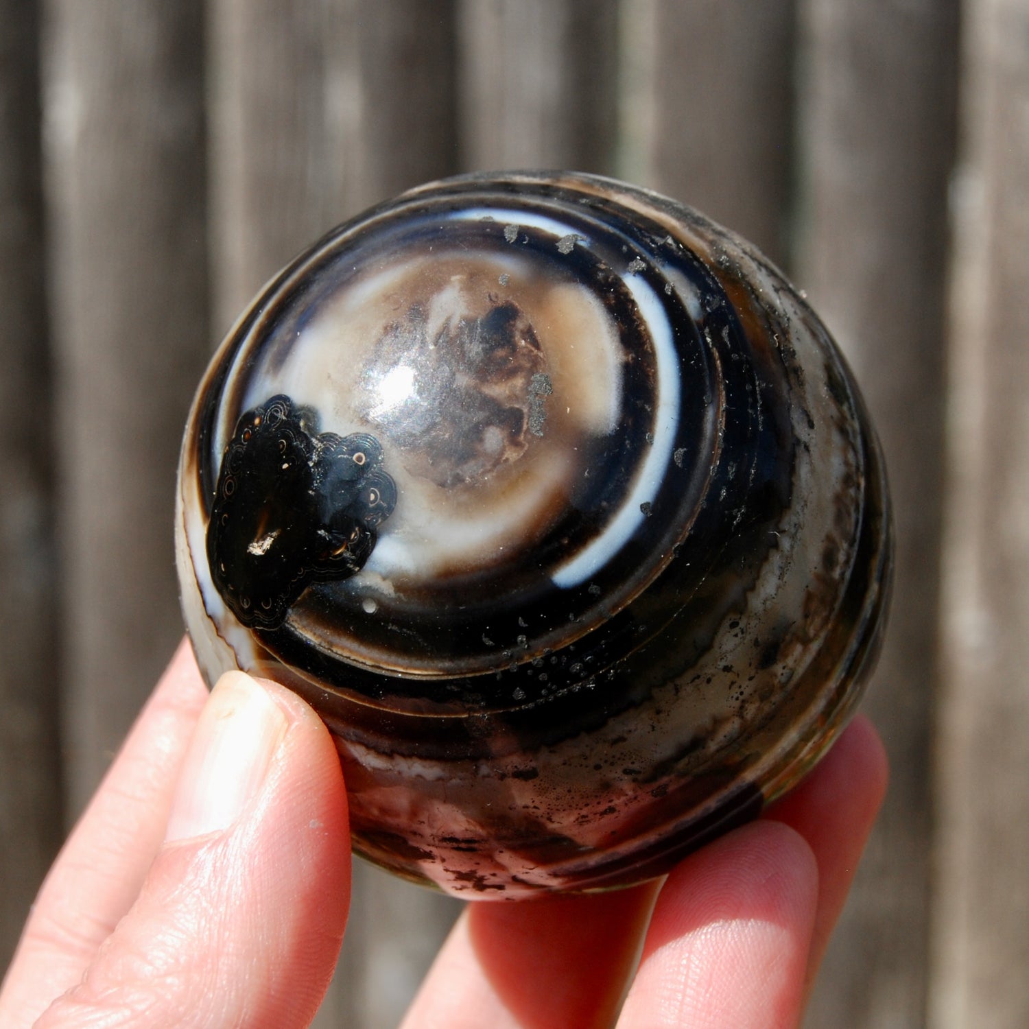 Sulemani Eye of Shiva Banded Sardonyx Crystal Sphere