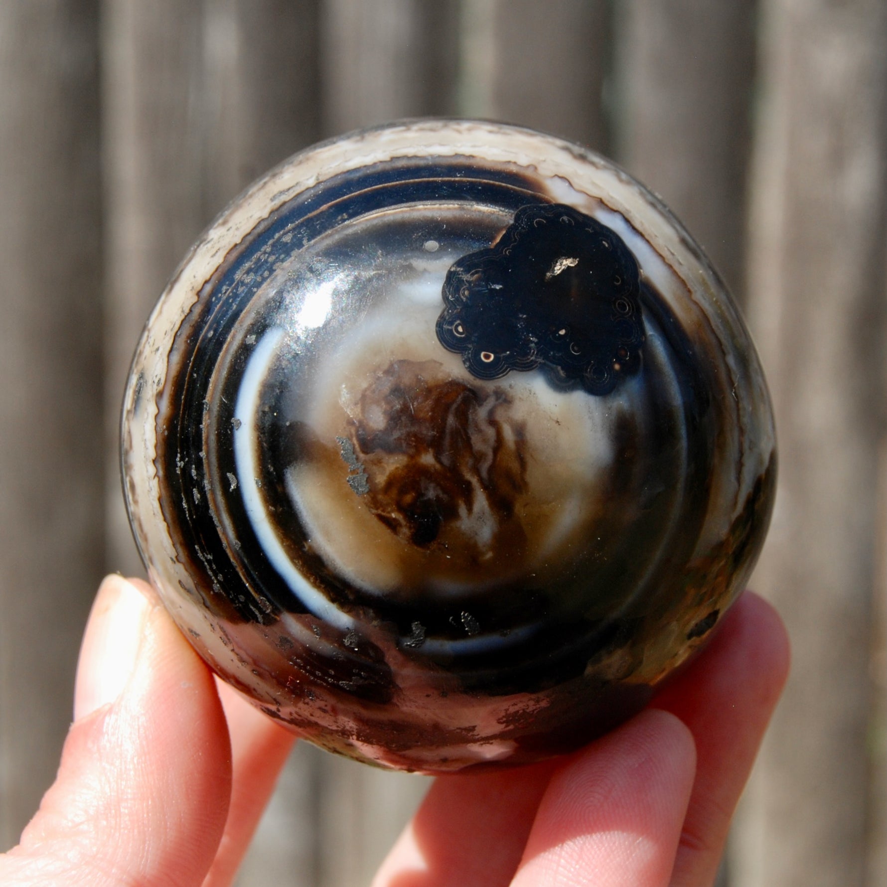 Sulemani Eye of Shiva Banded Sardonyx Crystal Sphere