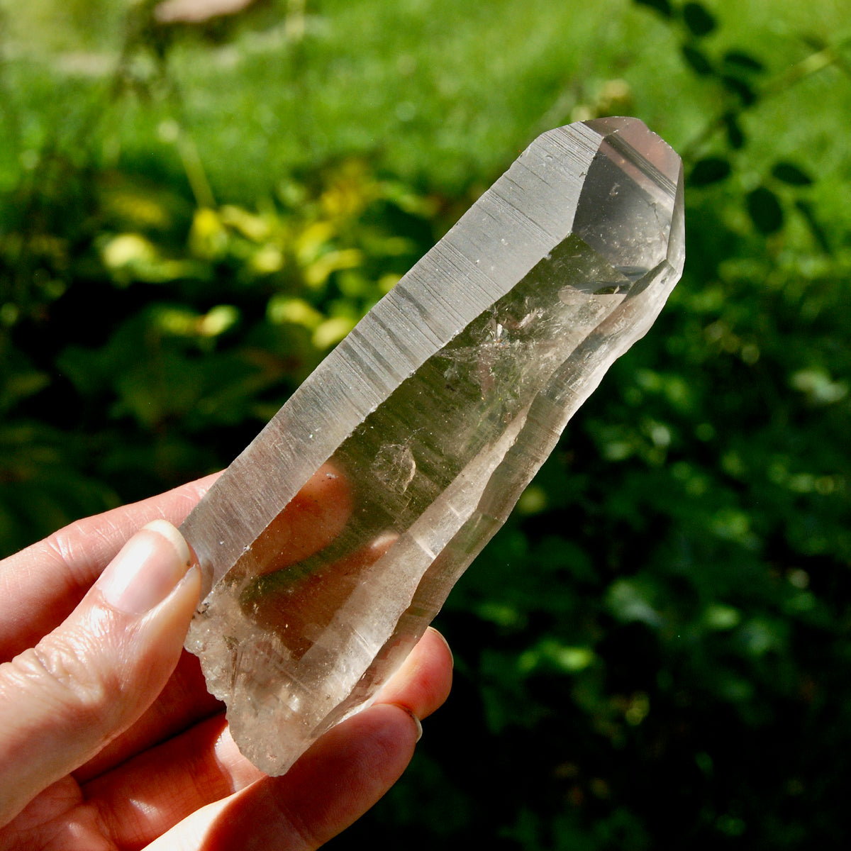 Smoky Lemurian Seed Quartz Crystal - 222g Record Keeper Starbrary from Brazil for sale