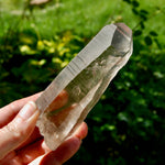 Smoky Lemurian Seed Quartz Crystal - 222g Record Keeper Starbrary from Brazil for sale
