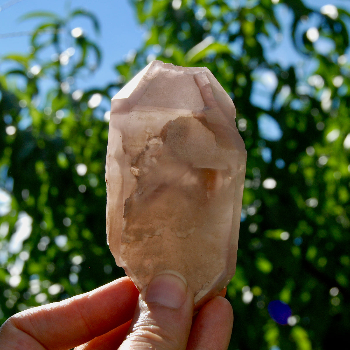 4in 176g DT Pink Lithium Lemurian Quartz Crystal, Dreamcoat Tabby Hematoid Includions from Brazil for sale