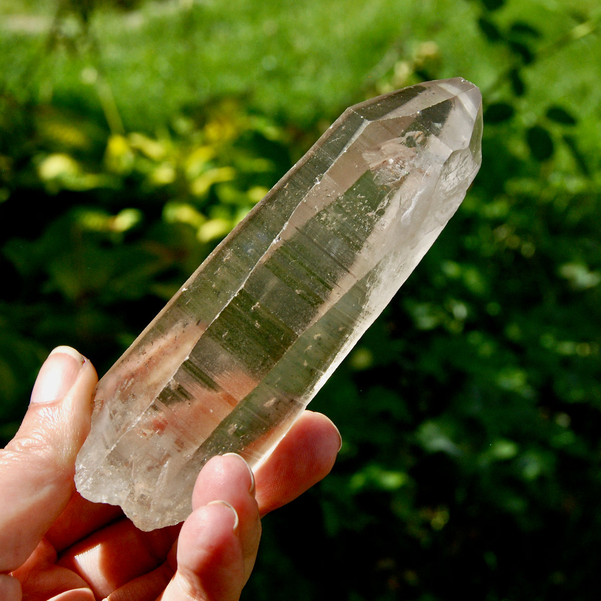 Smoky Lemurian Seed Quartz Crystal - 222g Record Keeper Starbrary from Brazil for sale