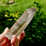 Smoky Lemurian Seed Quartz Crystal - 222g Record Keeper Starbrary from Brazil for sale