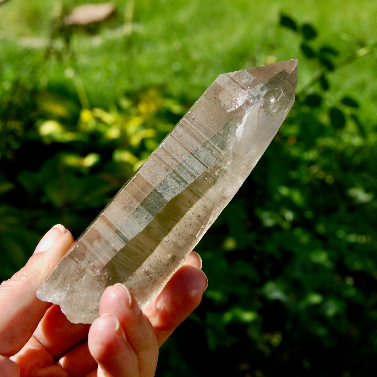 Smoky Lemurian Seed Quartz Crystal - 222g Record Keeper Starbrary from Brazil for sale